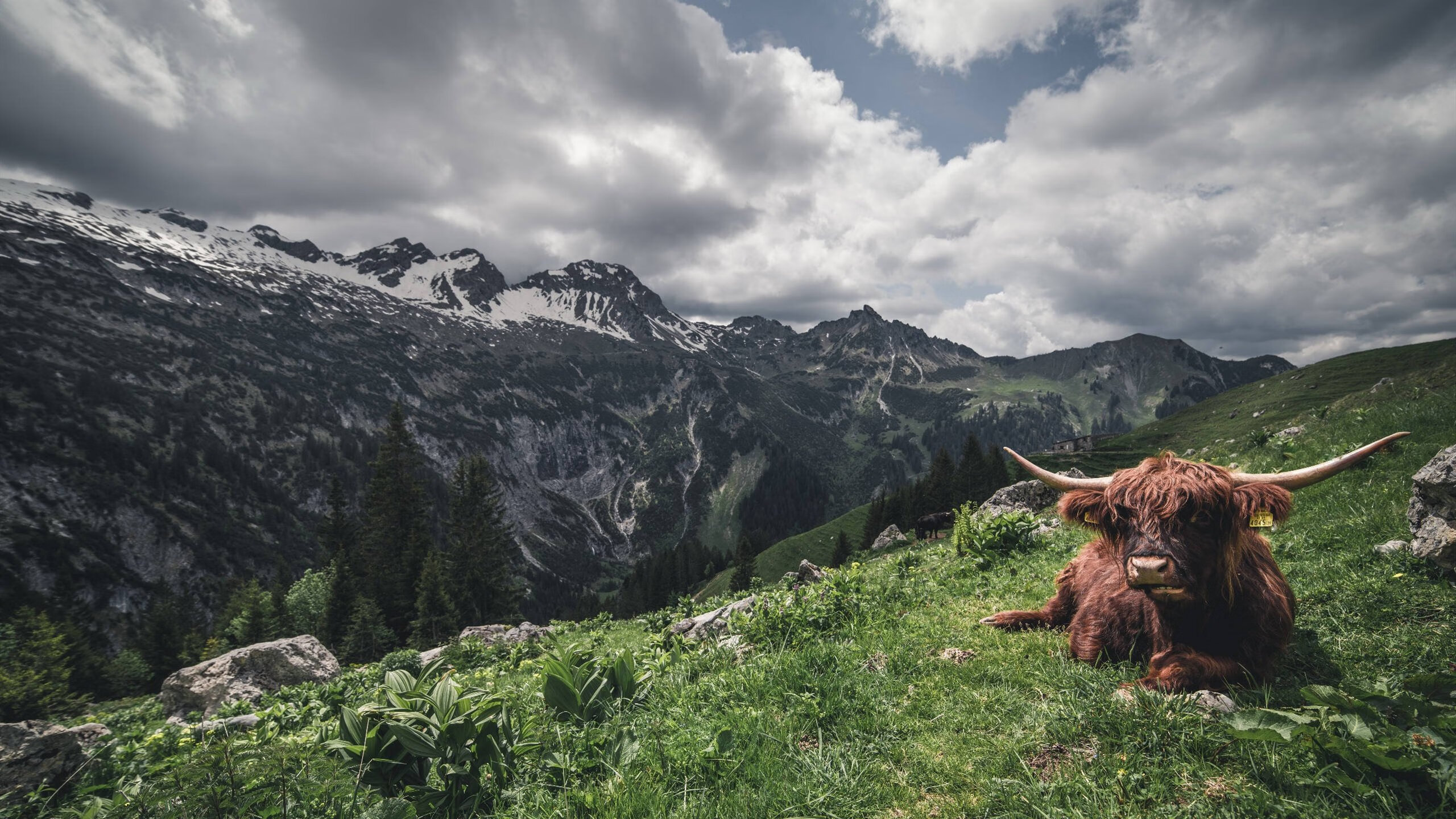 九游下载安装-中国足球比赛节奏控制,中国足球比赛规则介绍