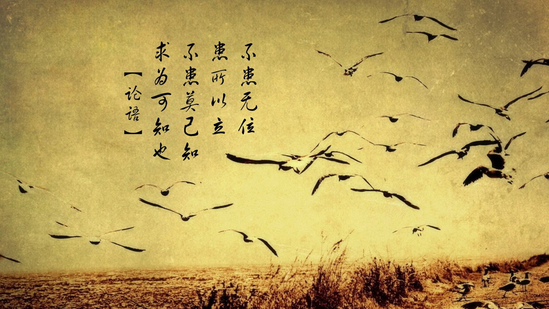 九游体验-全国青少年跳绳比赛激烈角逐新纪录，全国学生跳绳比赛