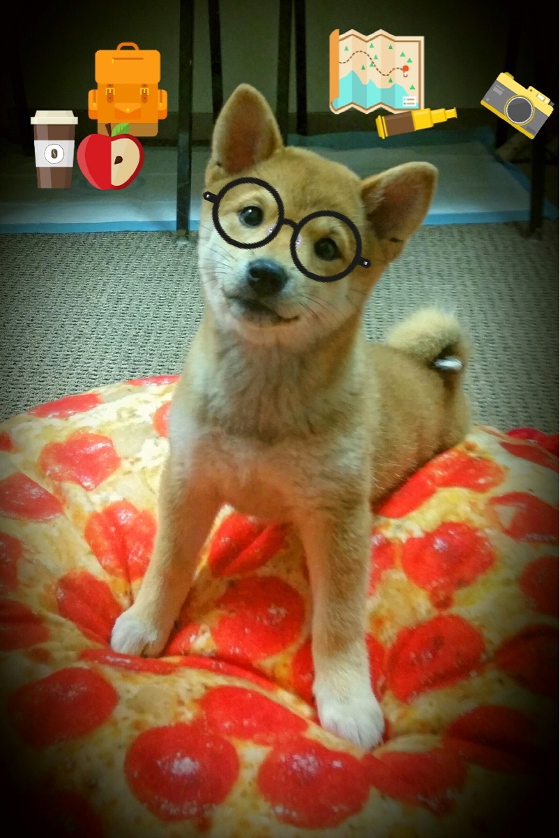 九游官方网站-“短柄墙球:高新区全民健身馆,比赛不止是对抗,更是智商与反应速度的比拼”