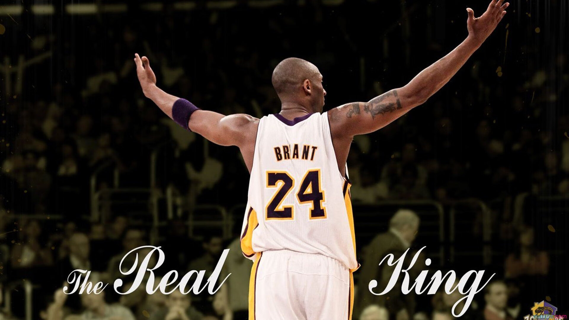 “球场趣味：明星球员场外的搞笑趣事”，球场上的搞笑瞬间