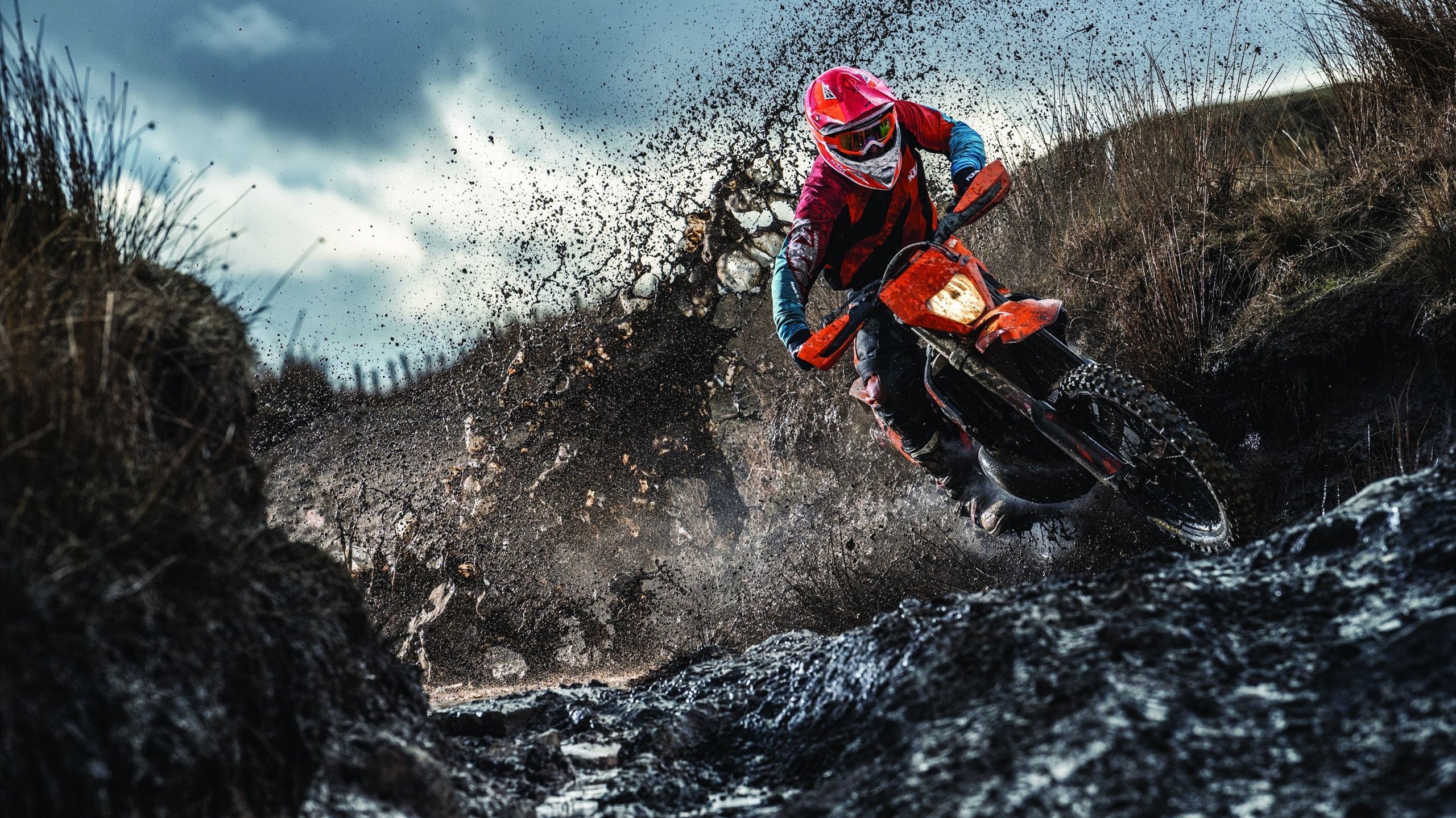 德国马术协会与非洲马术协会开展技术援助项目,提升当地水平。